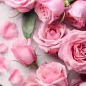 Floral Scent